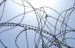 barbed_wire